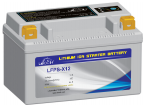 Аккумулятор Leoch LFPS-X12